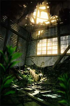 你的月光永沉于海小说江砚舟程岁昭完结版