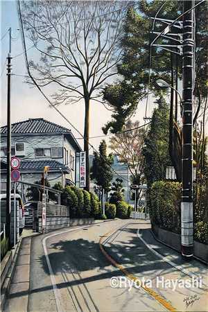 颠覆历史，暴君才是真明君小说殷寿王妃