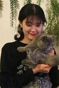 和白富美相亲后，两个前任气疯了全文