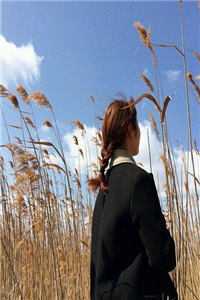 隐婚七年，高冷女上司我不要了秦渊宋若琳全文
