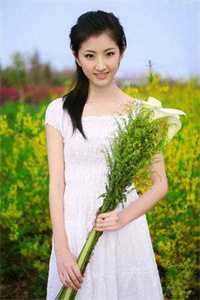 愿你不染人间愁沈兮棠傅慎川