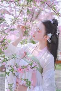 皇嫂将我毁容后，皇兄直接废了她小说结局