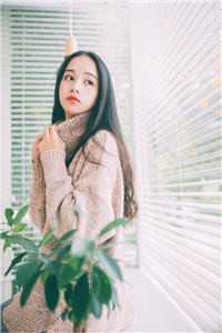 看见弹幕转嫁死对头，他却疯了王海月儿全文