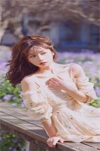 晚明赘婿张辰夏花 全集