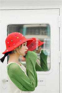 归京后，白莲花被迫称帝完结文