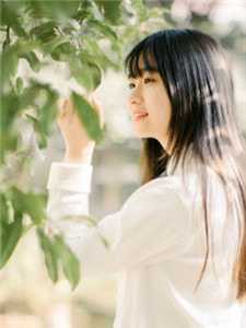 穿成甜宠文里的路人甲陈曦夏揽全文+番茄