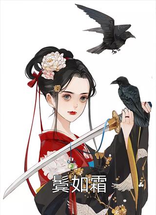 鸳鸯袖里藏兵符小说