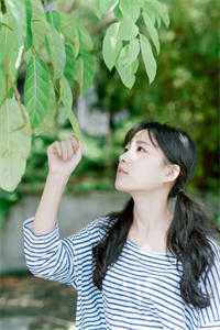 朋友圈的致命链接完结版小说顾晨宇妍妍