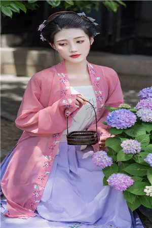 苏晚竹苏清宴的小说寒风自梅花香来阅读