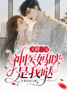 傅总靠边站，安小姐要另嫁他人了傅时瑾安念小说完结版