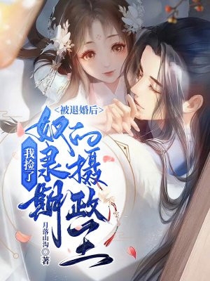 我与春风皆过客小说和苏傅安完结版