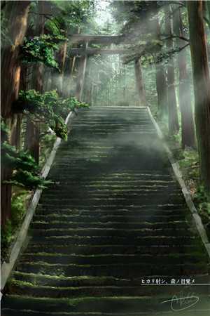 爱意凋零时厉君则沈念语完结版小说