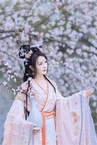 浮生引 全集