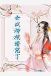 花非花雾非雾完结版沈筝陆砚池