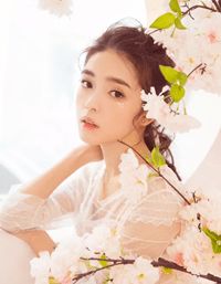 白瑶瑶陆斐写的小说与京圈太子退婚后，我喜提他的死对头