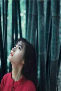 魏天耀赵泽硕写的小说不如相忘于江湖